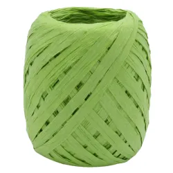 Raffia Ribbon; Green